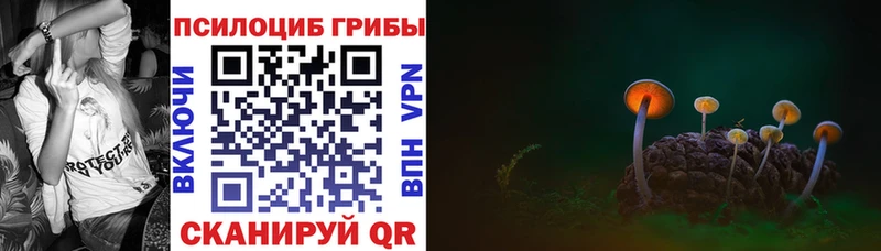 наркошоп Невельск Галлюциногенные грибы Cubensis